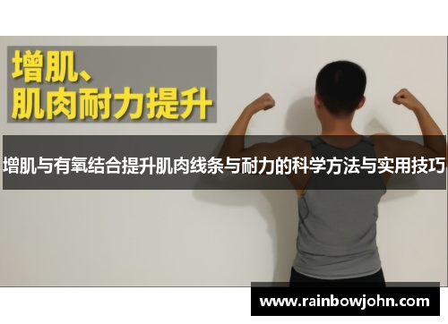 增肌与有氧结合提升肌肉线条与耐力的科学方法与实用技巧