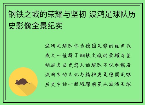 钢铁之城的荣耀与坚韧 波鸿足球队历史影像全景纪实