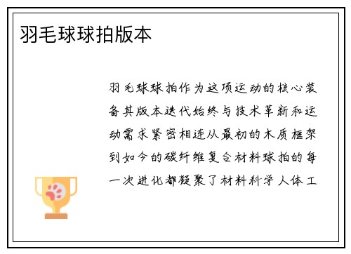 羽毛球球拍版本